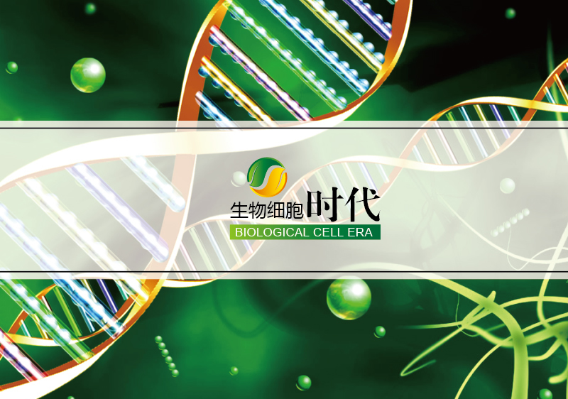 醫(yī)療投資樣本設(shè)計(jì)-醫(yī)院管理宣傳冊(cè)設(shè)計(jì)-醫(yī)院托管經(jīng)營(yíng)畫冊(cè)設(shè)計(jì)-上海奧韻廣告專業(yè)品牌策略機(jī)構(gòu)